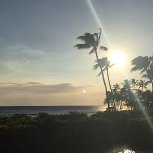 Meet your Posher, Bailey